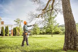  Bay Point, CA Tree Services Pros